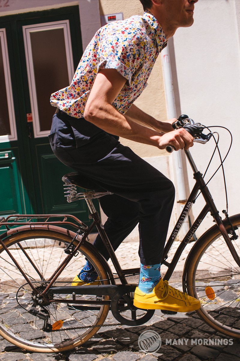 The Bicycles – Bild 2