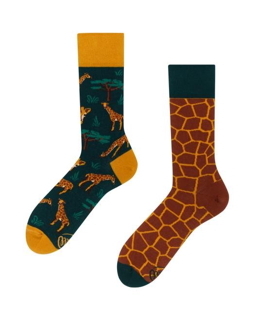 The Giraffe
