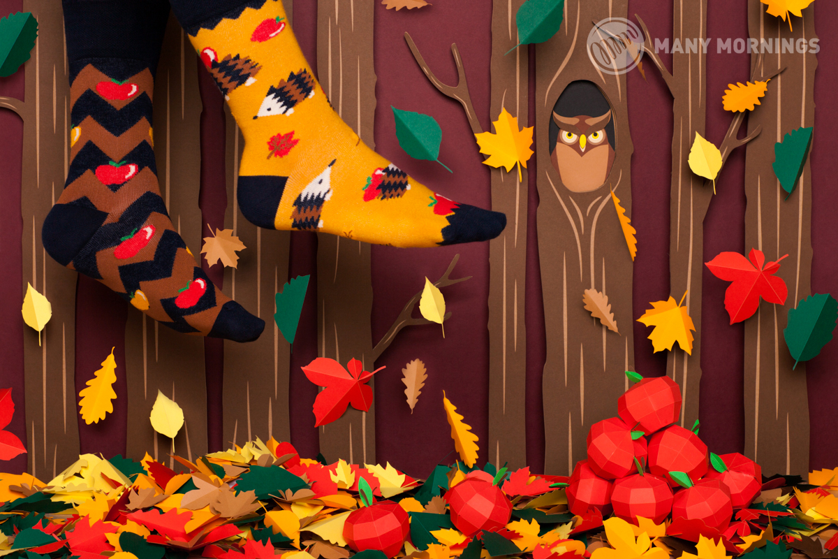 Apple Hedgehog Kids – Bild 2
