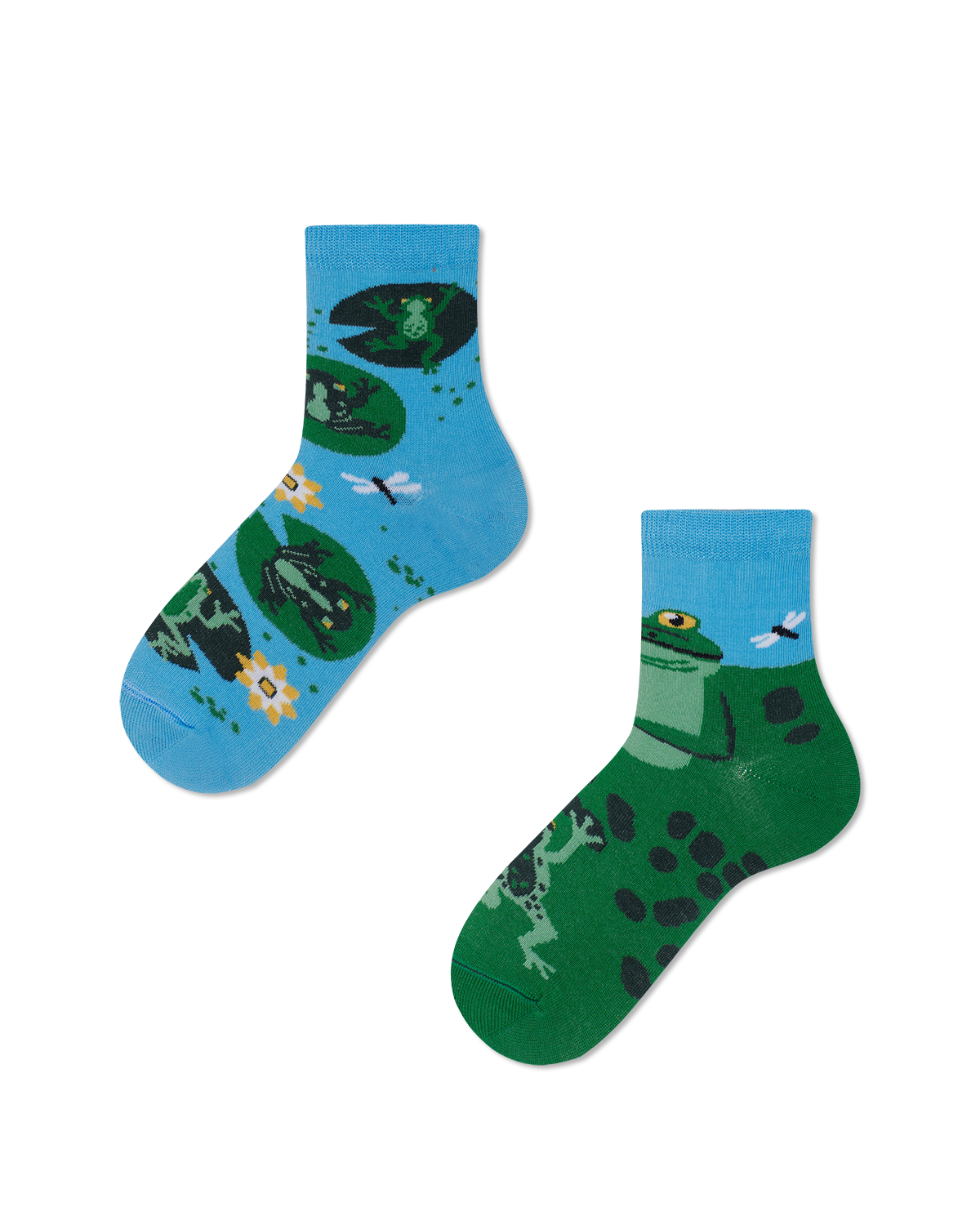 Froggy Frog Kids