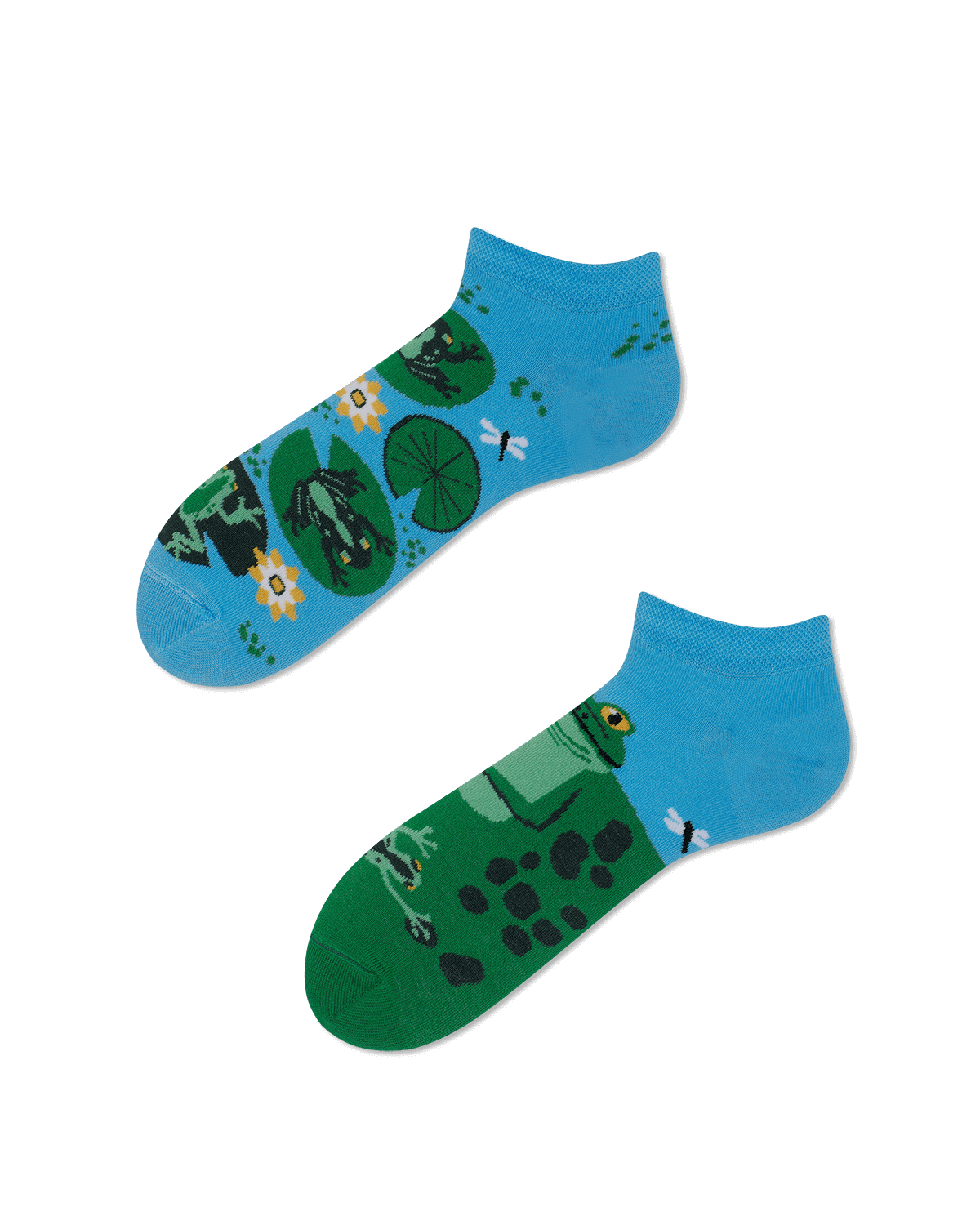 Froggy Frog Low
