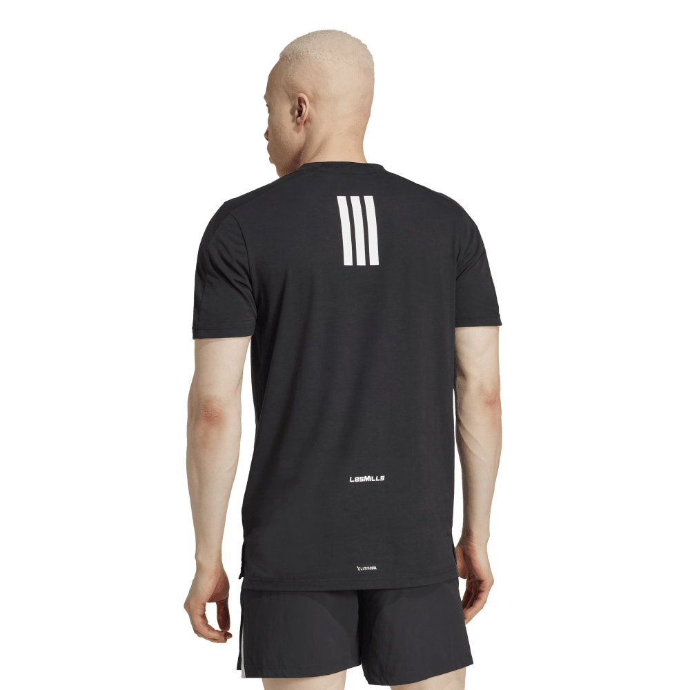 M LM G T – Bild 3