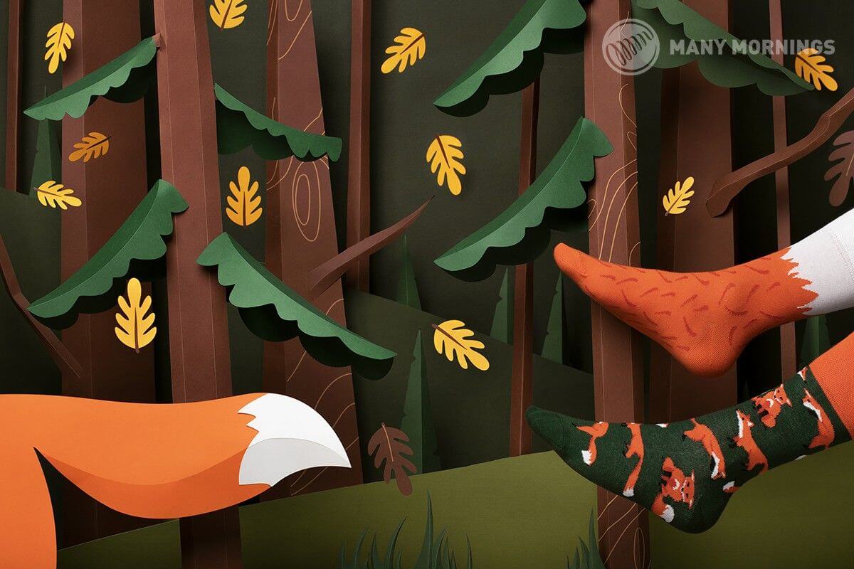The Red Fox - Image 2