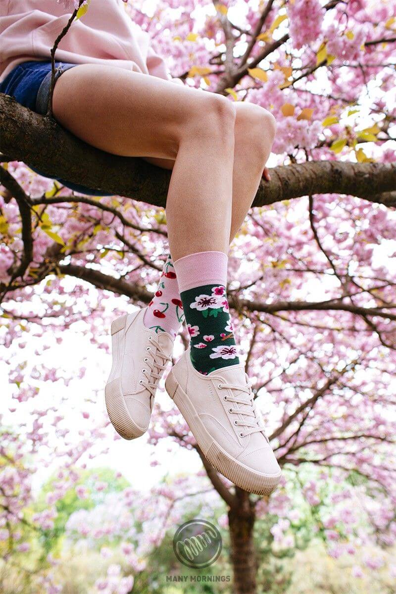 Cherry Blossom – Bild 2