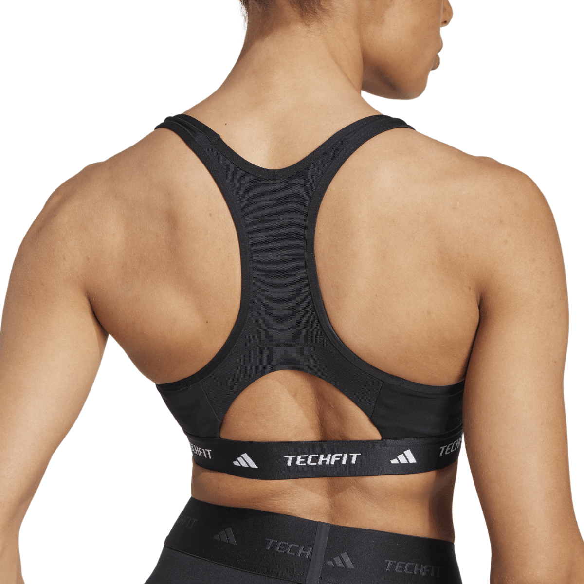 TF MS BRA - Image 8