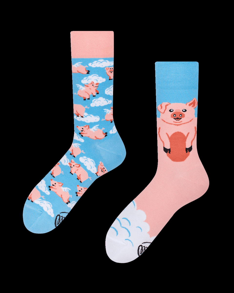 Piggy Dream