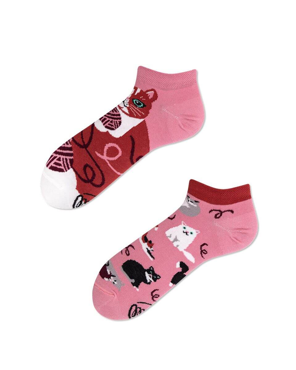 Playful Cat Low