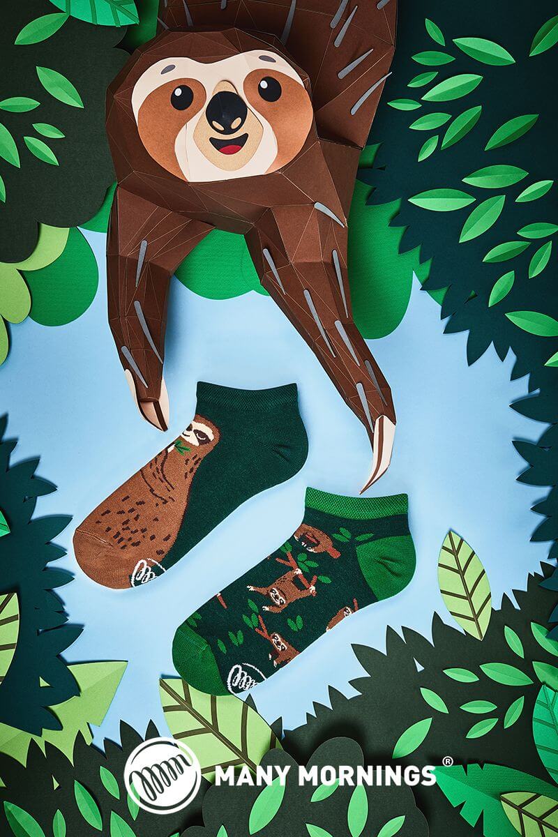 Sloth Life Low - Image 2