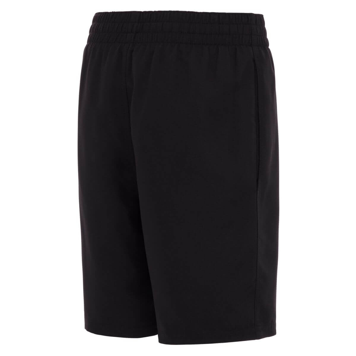 ESSENTIAL 6" VOLLEY SHORT - Image 2