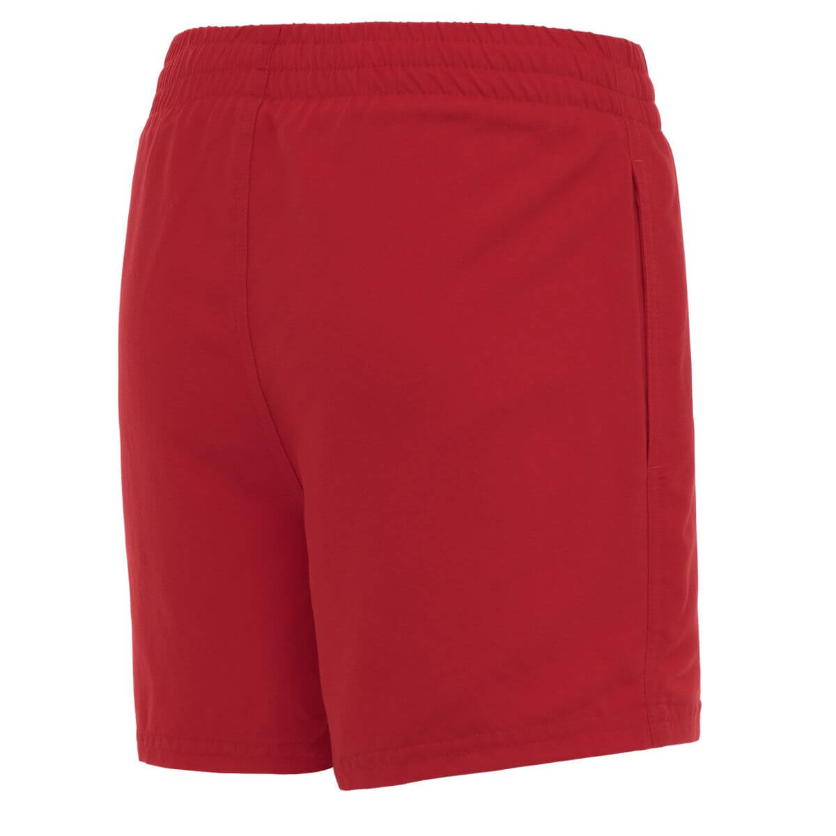 ESSENTIAL 4" VOLLEY SHORT - Image 12
